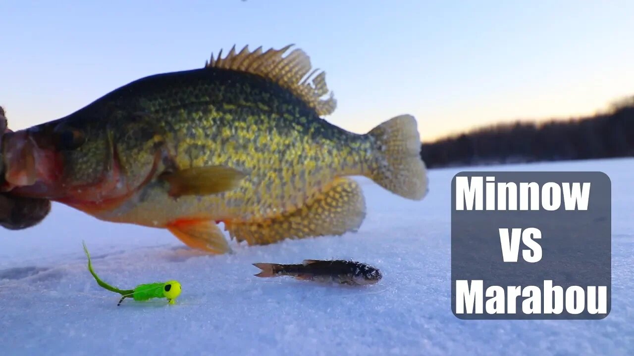 Winter Crappie Fishing 2019! Live minnows VS Marabou Crappe Jig