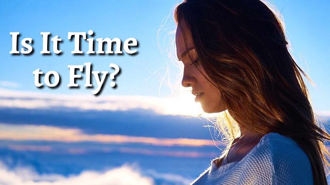 Is It Time to Fly?