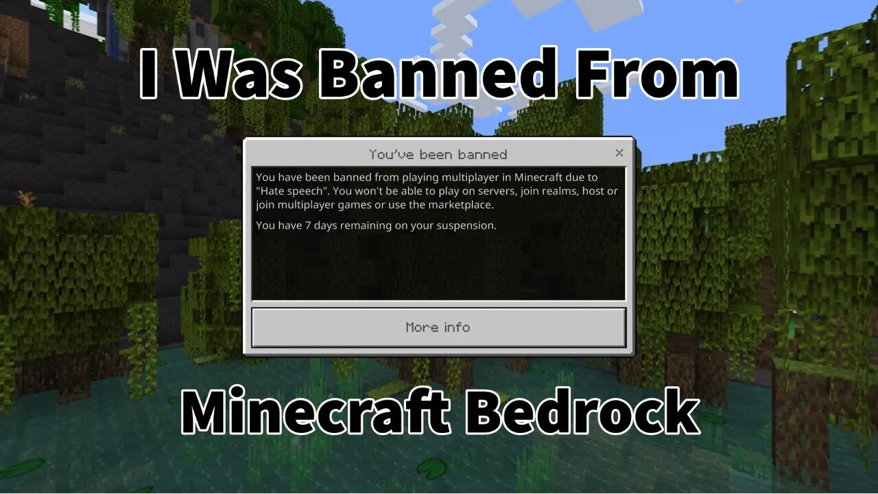 I was banned from Minecraft Bedrock....