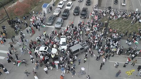 Pro-Palestine Mob attacks cars and drivers in Minneapolis