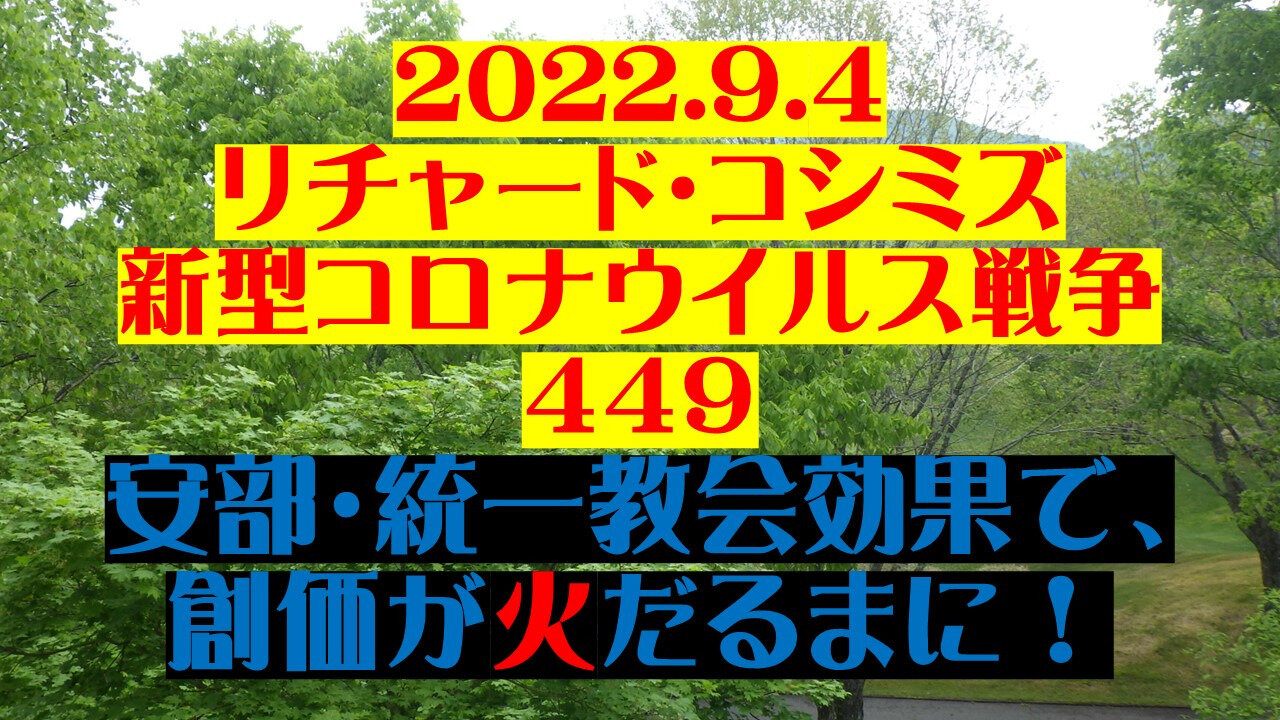 2022.09.04 リチャード・コシミズ新型コロナウイルス戦争４４９