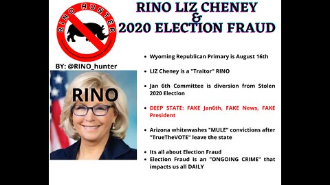 RINO Liz Cheney & 2020 Election Fraud