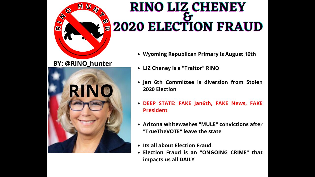 RINO Liz Cheney & 2020 Election Fraud