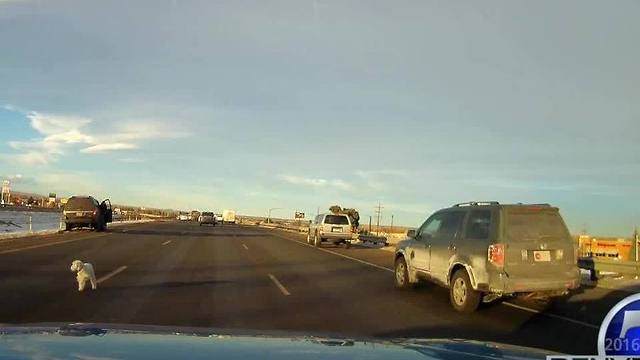 Dog jumps from moving car on I-70