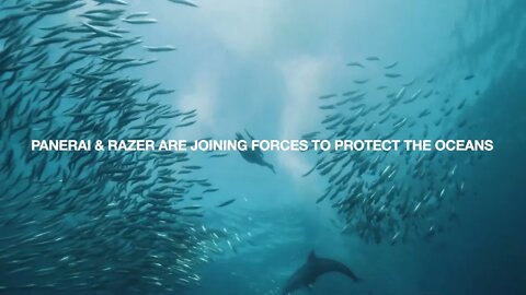 Razer x Panerai - Make Time For Our Ocean