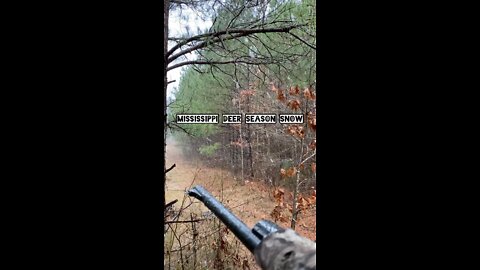 Mississippi Deer Season Snowing