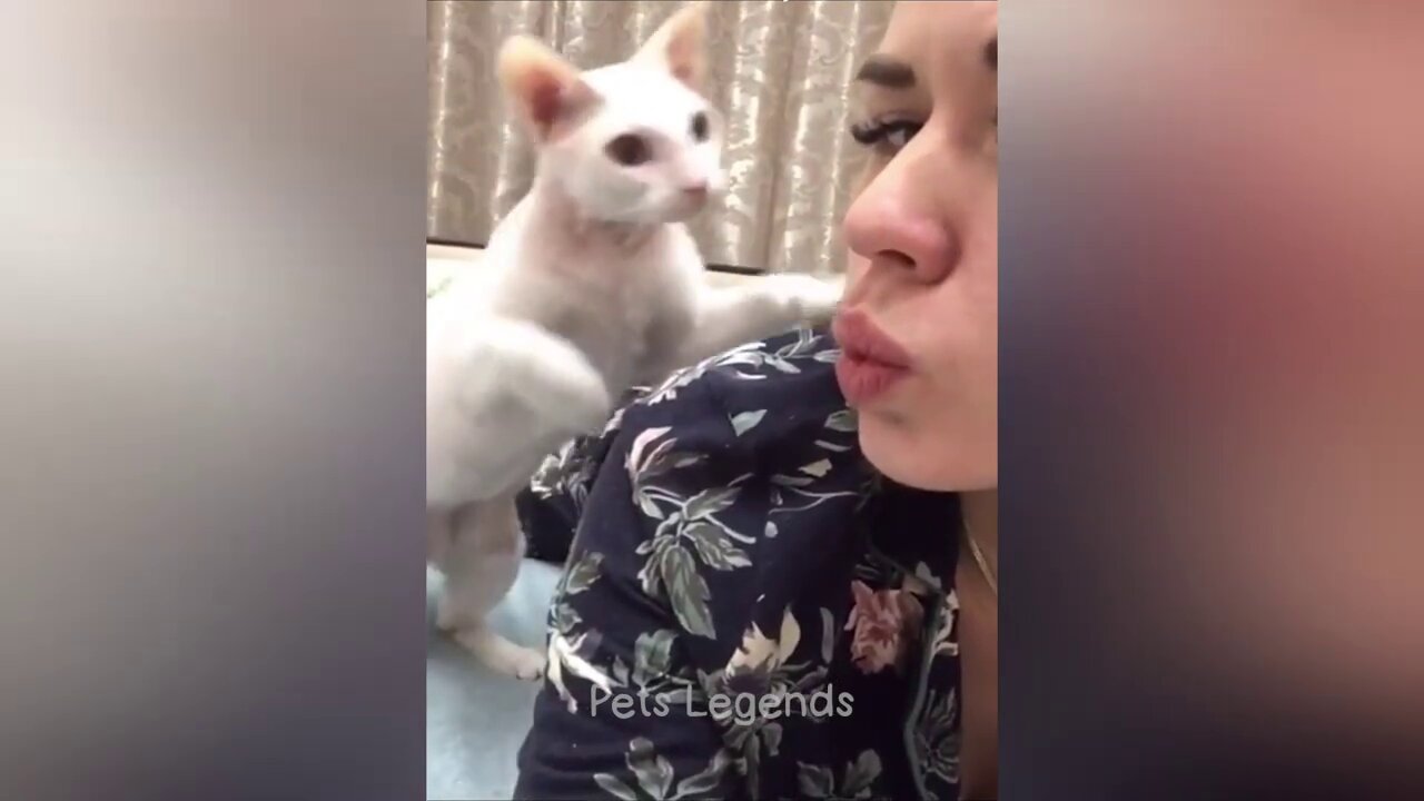 Funniest Cat with girl😂 New Funny Cats Videos 😻🐶