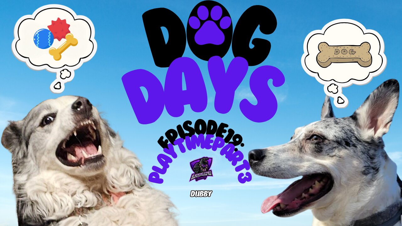 Dog Days Episode 19: Play Time Part 3 [Australian Shepherd Blue Heeler Husky Mix]