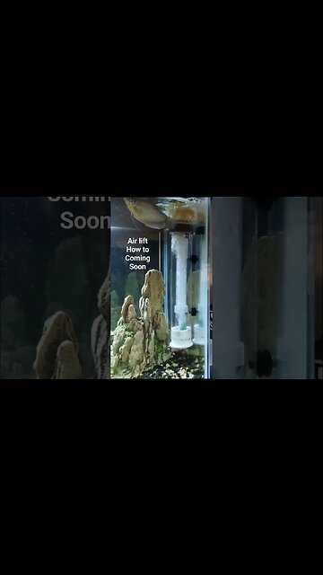 Air lift system #shorts