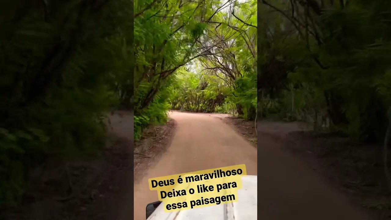 Passeio de Bugue #passeio #deus #life #paisagem #flores