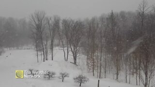 Flakes are flying in Eastern Ontario