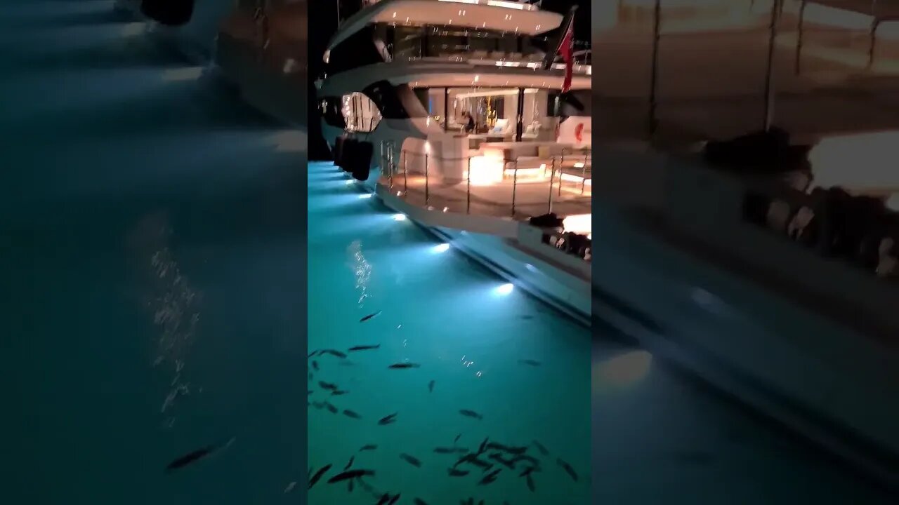 puerto banus