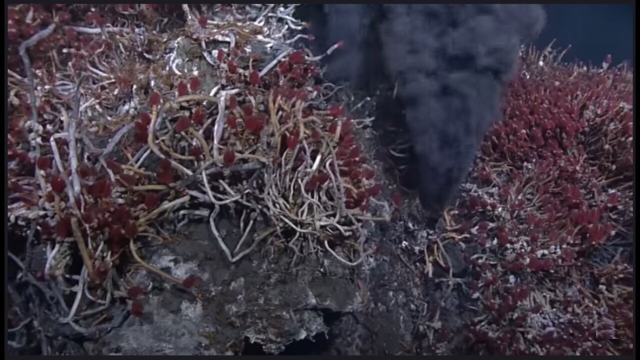 Documentary: Deep Sea Ocean Hydrothermal Vents Cold Seeps Chemosynthetic Life