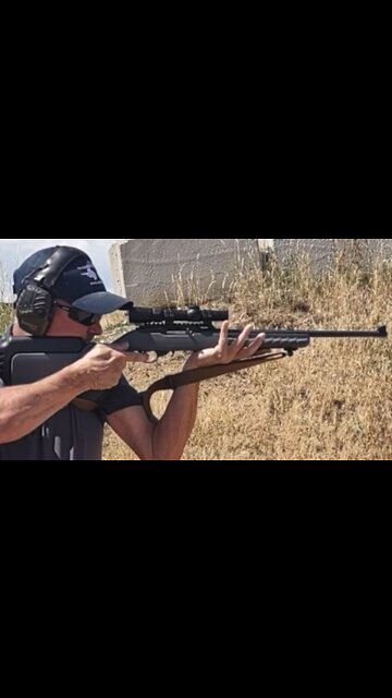 Ruger 10/22 Collectors Series 2nd Edition Shorts