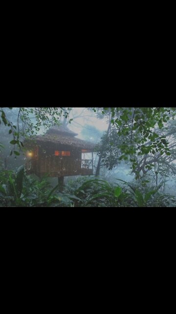 RAIN SOUND IN THE FOREST TO SLEEP 01 SHORT