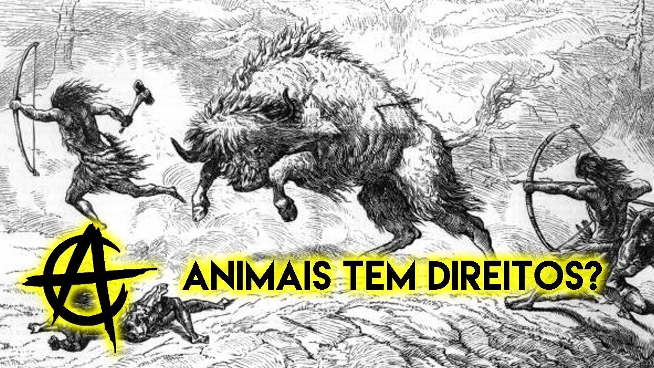 Animais tem direitos?