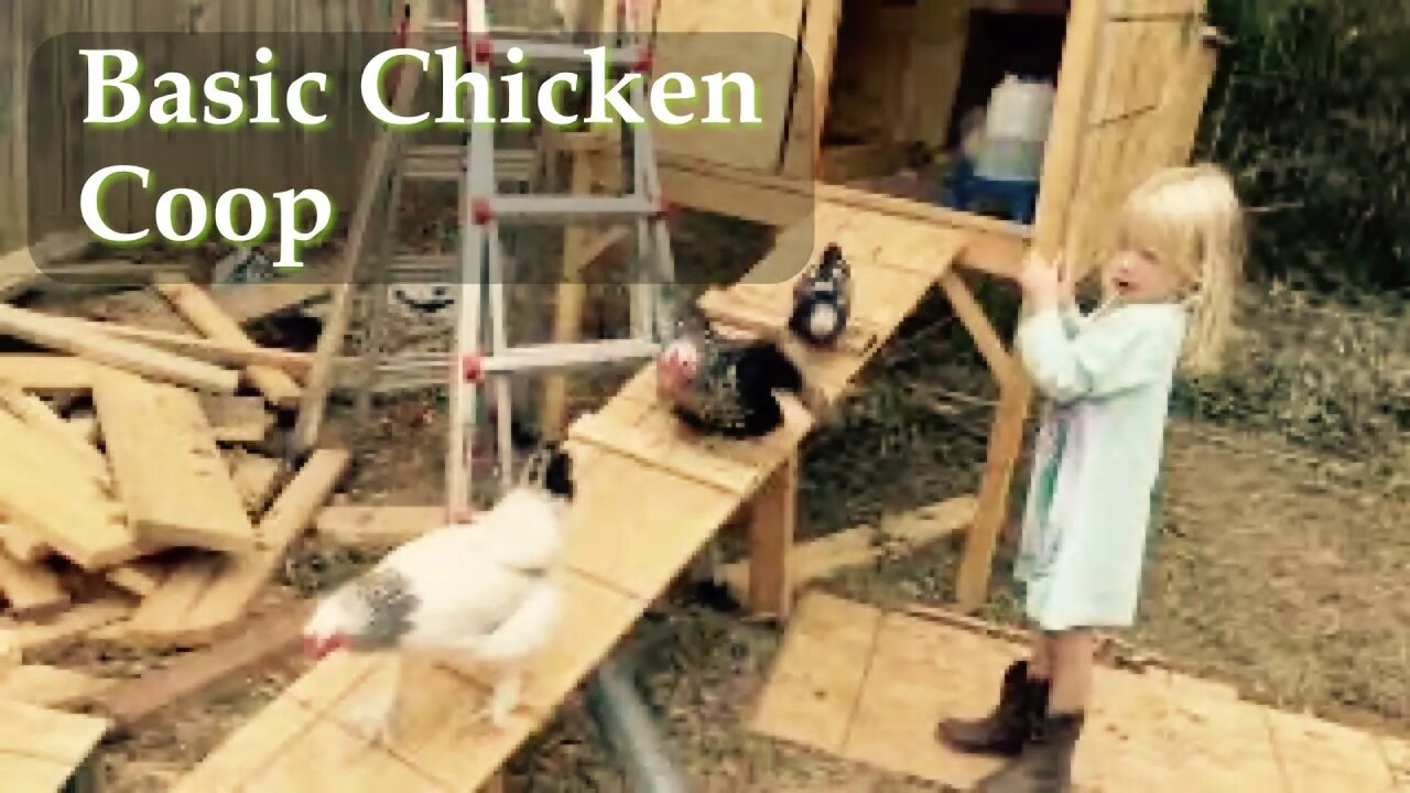 Basic Chicken Coup Design | Sovereign Provisions Homestead