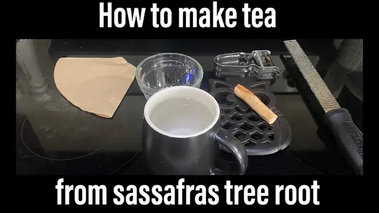How to make tea from sassafras tree root - Raleigh Jones - Louisiana Homestead