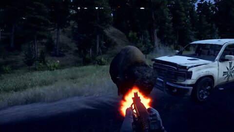 Far Cry 5 Hunt Animal