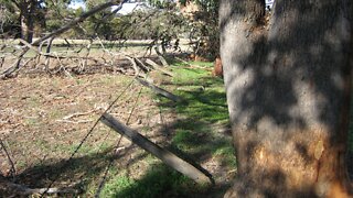 Good fences make good neighbours