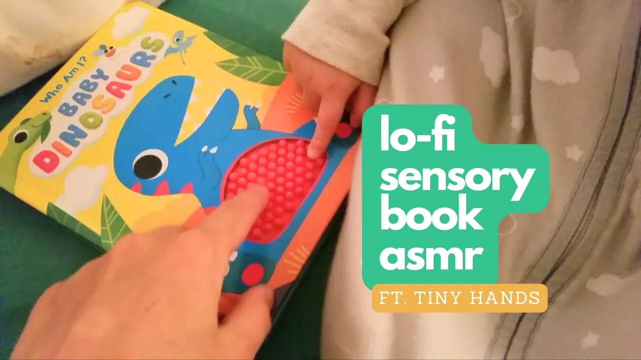 lofi ASMR | Bedtime Story With Zoey - Baby Dinosaur Sensory Book