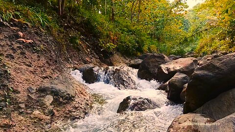 Peaceful River Dreams: ASMR for Sleep and Relaxation