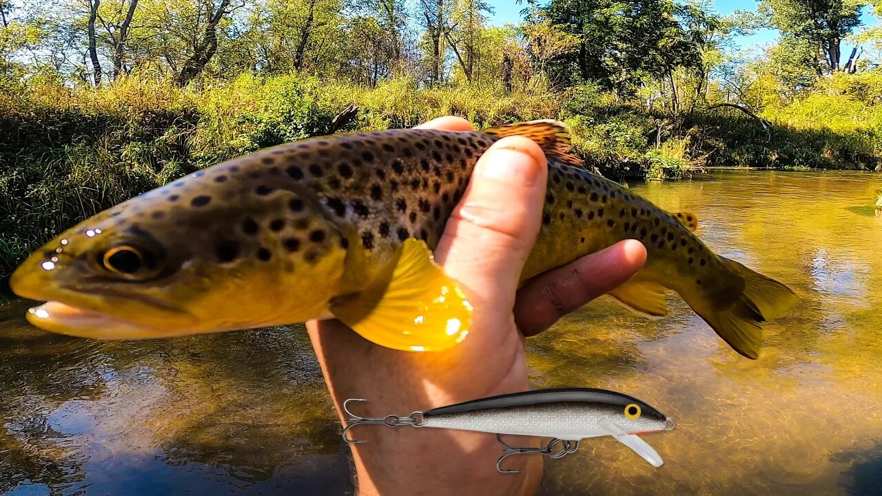 Trout Fishing with the Original Floating Minnow