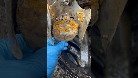 Rat FLAP hack #pestcontrol #filth #fixit
