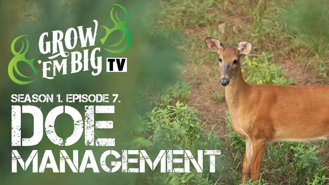 Doe Management | Grow 'em Big TV