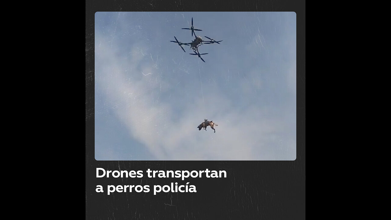 Policía china prueba drones para movilizar a sus perros policía