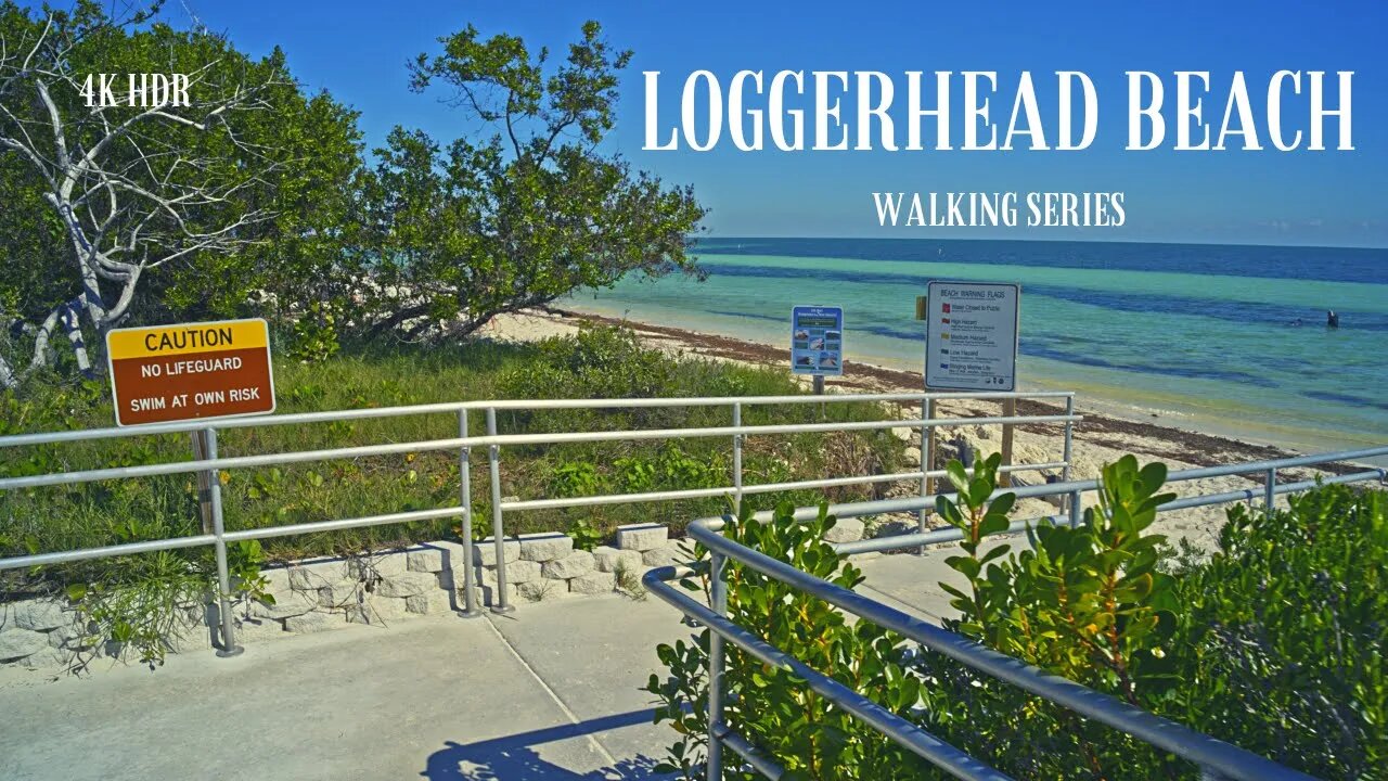 Walking along Loggerhead Beach | Surround Sound