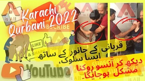 Qurbani ke Janwar Se Pyar Part-2 | #KarachiQurbani2022 #AisAll #Subscribe #Like #Comments & #Share