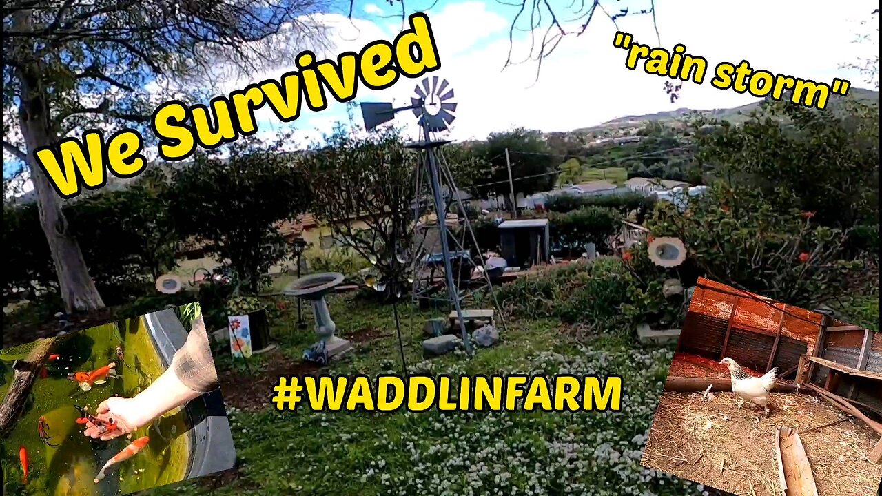 Survived storm