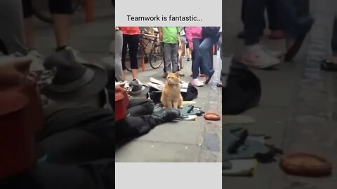 Teamwork is fantastic...