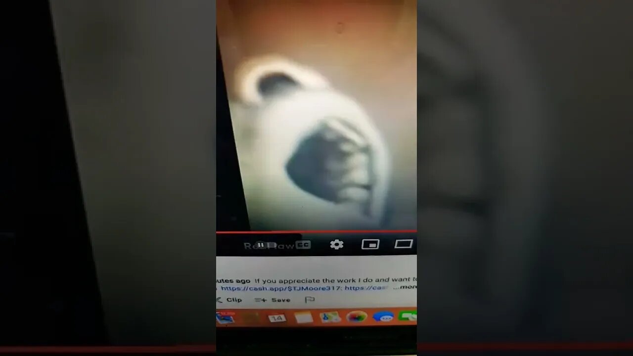 True Freeman Teefers