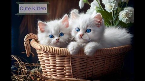 Cute Kittens - Funny And Cute Cat Videos 2023 #1