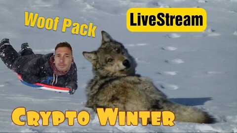 Woof Pack Very FIFTH live-Stream!