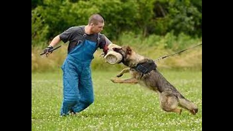 Aviation and Defense Dog Squad Presentation