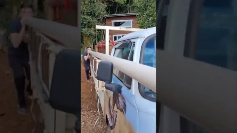 #shorts #2022 funny,prank,funjokes,dad jokes,funny memes,funny video,fun,laughing,funny animal,knock