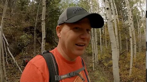 Singletrack - Clearing a trail and just talking