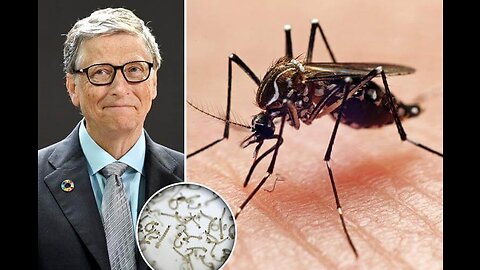 Mosquitos Modified to Spread Vaccines