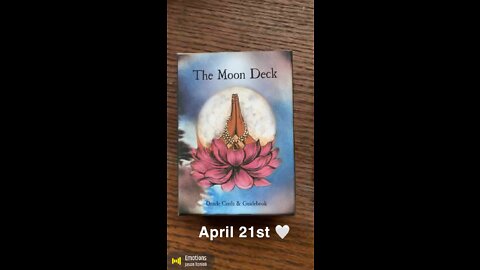 April 21st oracle card: emotions