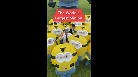 The world largest minion