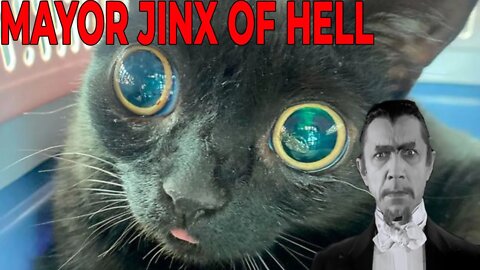 Cat Becomes Mayor of HELL