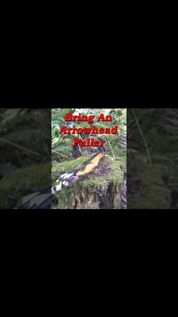 Next Time Bring An Arrowhead Puller!