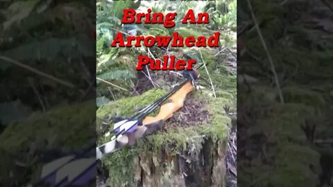 Next Time Bring An Arrowhead Puller!