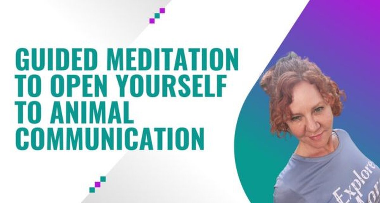 Guided Meditation To Open Yourself to Animal Communication