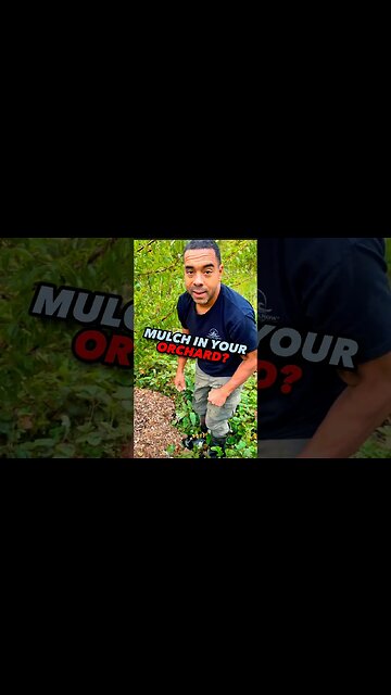 NO Mulch NECESSARY! #homesteader #garden #homesteading #farming #permaculture #nature #farmer