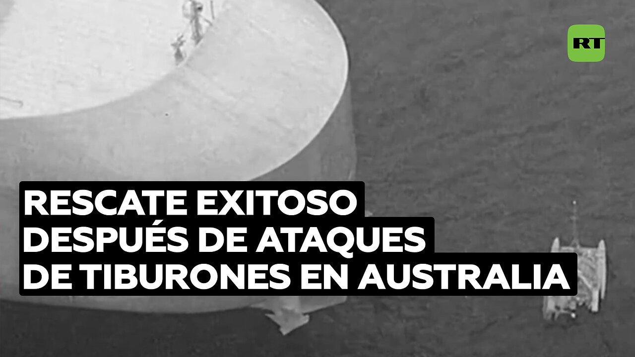 Rescatan a tres personas en un catamarán tras ataque de tiburones frente a costas australianas