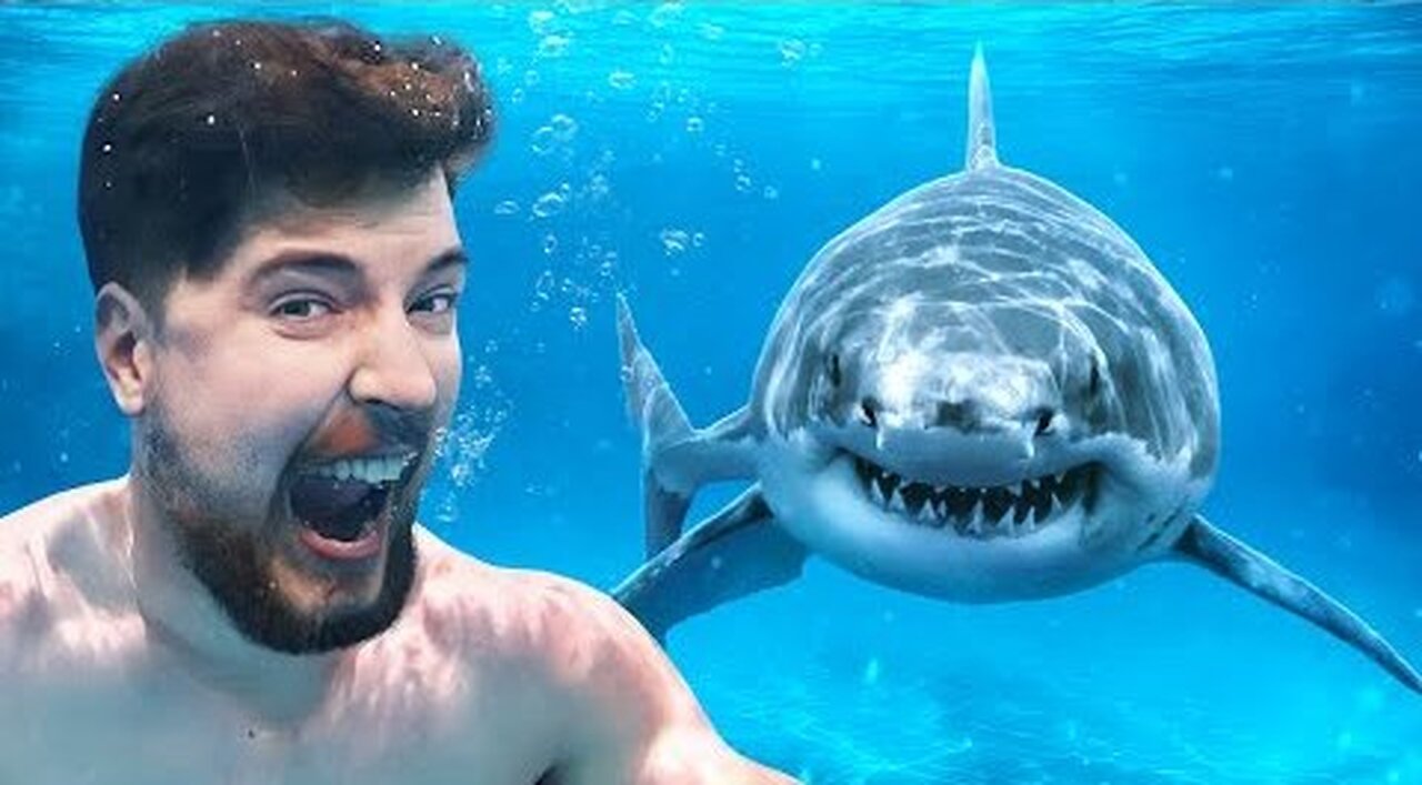 Would You Swim With Sharks For $100,000? (HELP!!!)